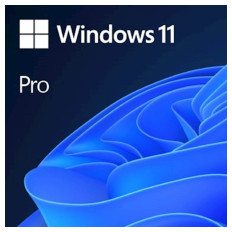 DSP Windows 11 Professional 64bit, angleški