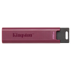 USB disk Kingston 256GB DT Max, 3.2 Gen2, 1000